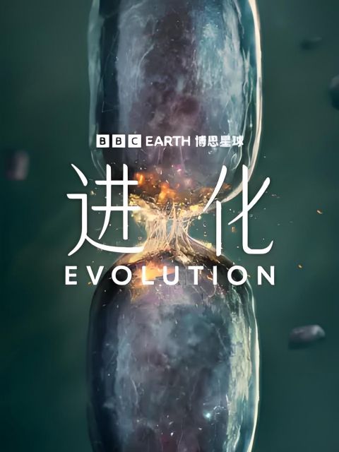 进化（中配版）海报