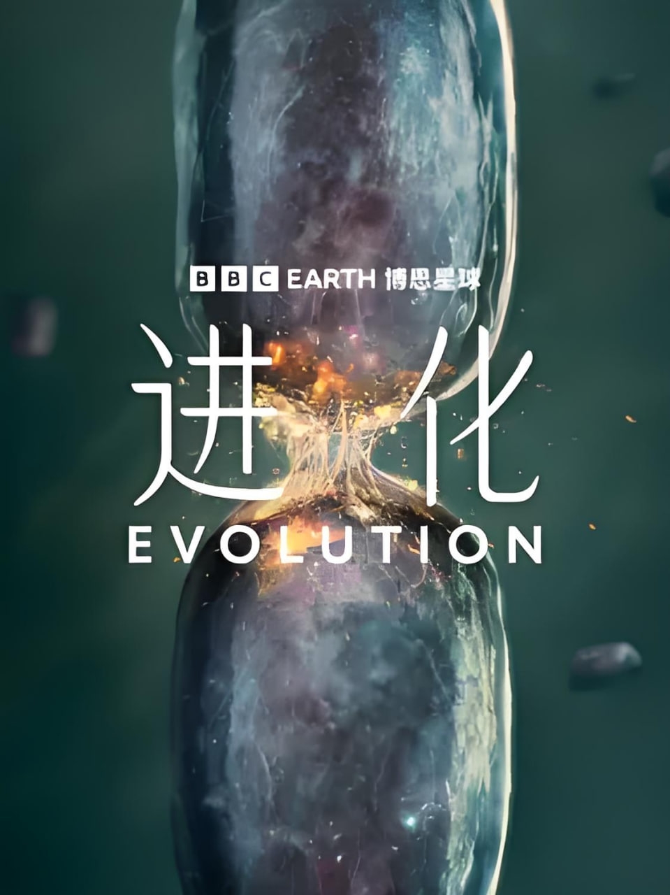 进化（中配版）海报