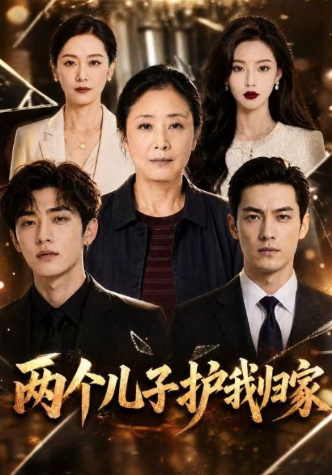 两个儿子护我归家海报