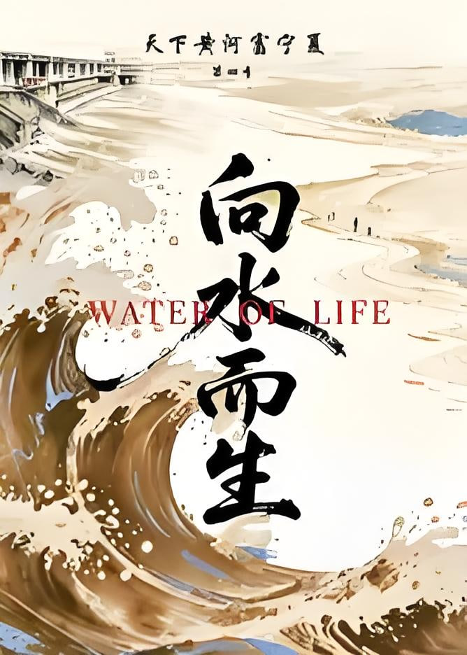 天下黄河富宁夏 第4季海报