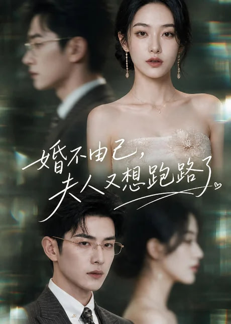 婚不由己，夫人又想跑路了海报