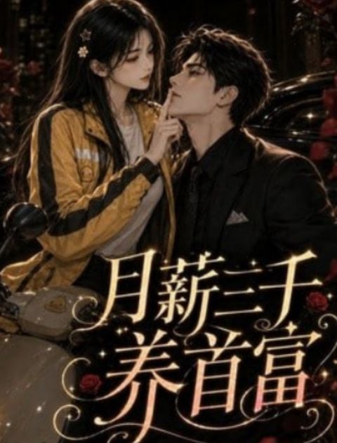 月薪三千养首富海报