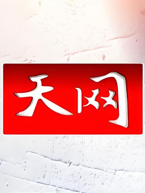 天网海报