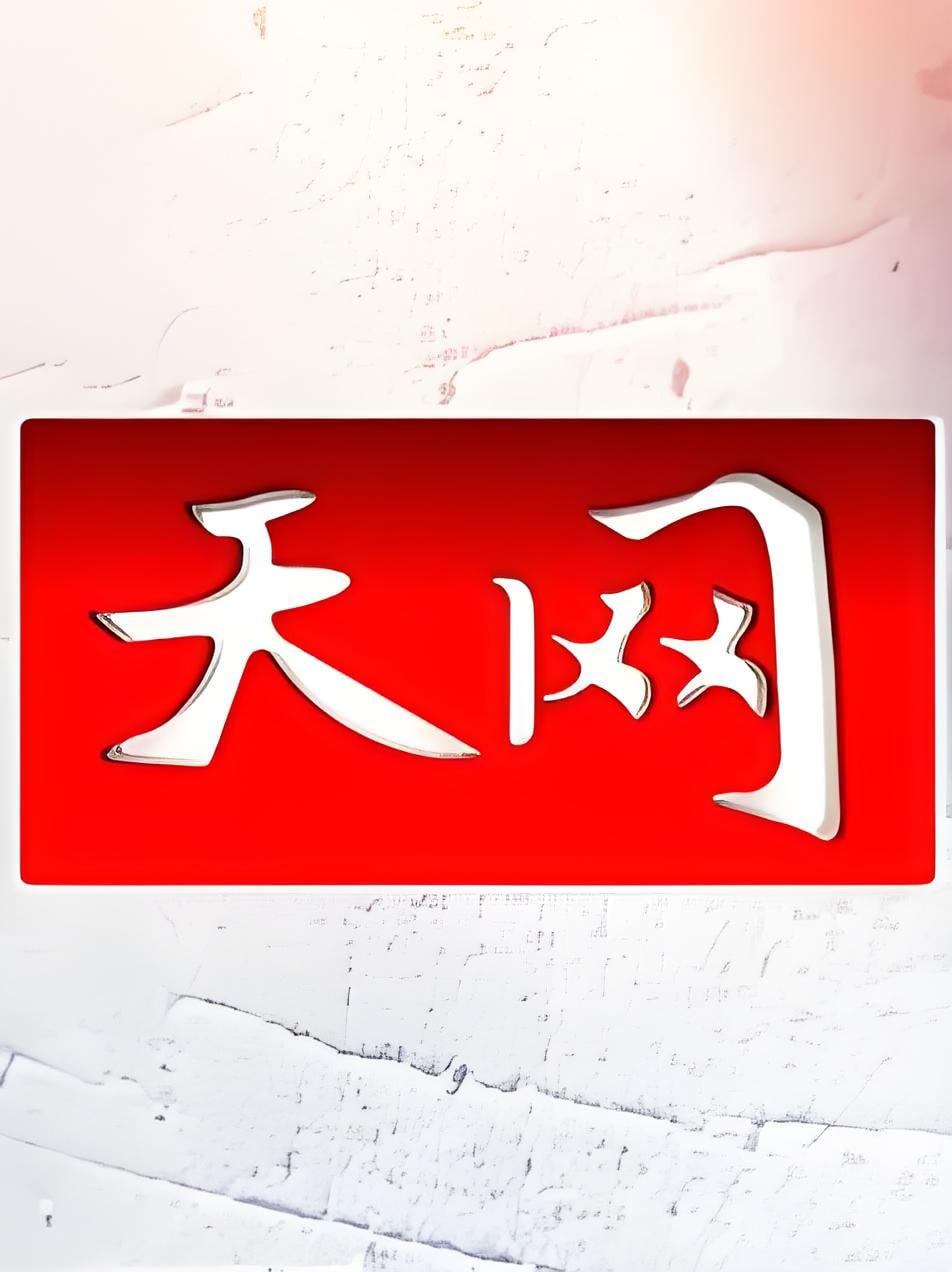 天网海报