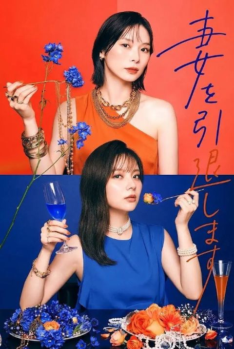 我不当妻子了海报