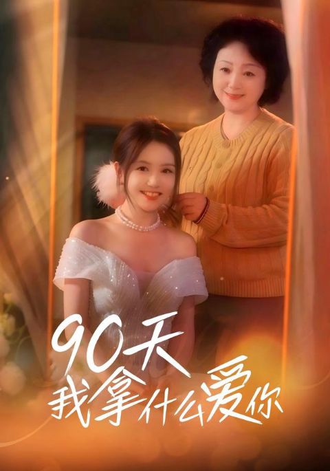 90天我拿什么爱你海报