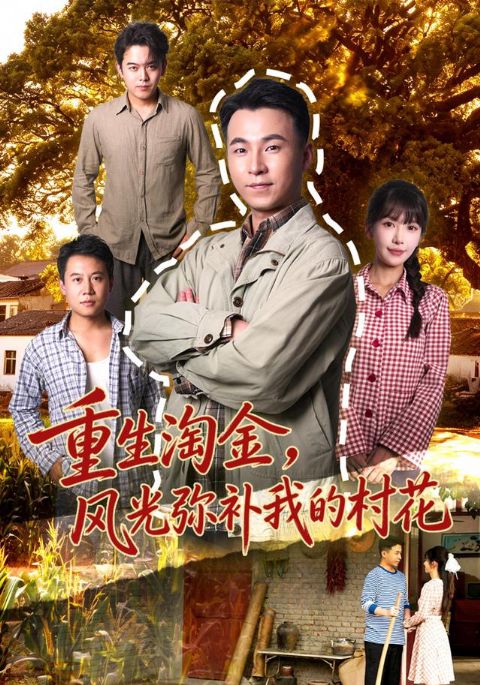 重生淘金，风光弥补我的村花海报
