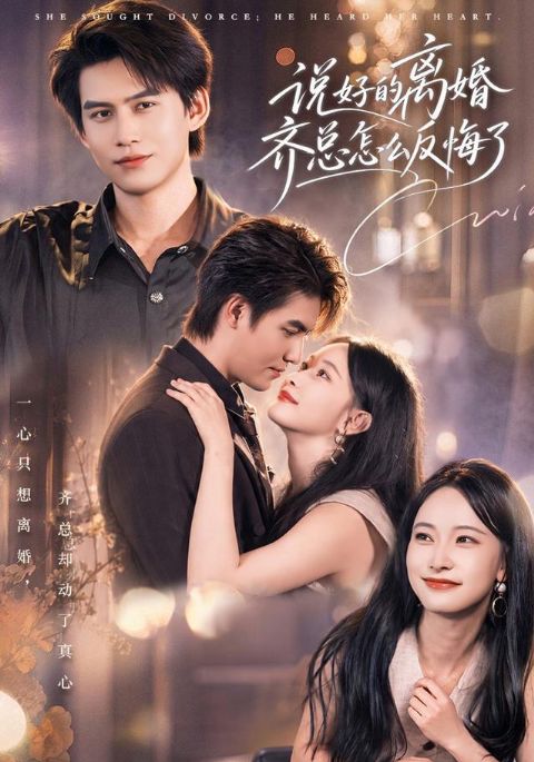 说好的离婚齐总怎么反悔了海报