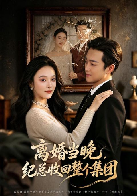 离婚当晚，纪总收回整个集团海报