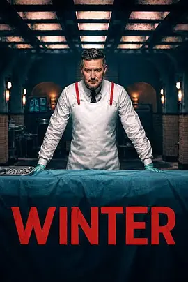 法医温特 Winter海报