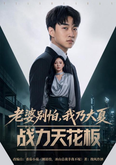 老婆别怕，我乃大夏战力天花板海报