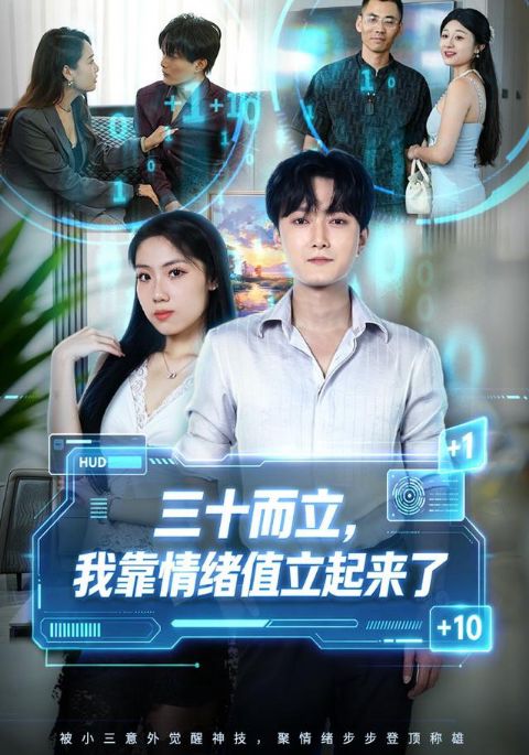 三十而立，我靠情绪值立起来了海报