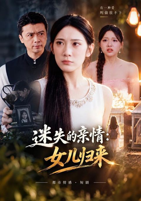 迷失的亲情：女儿归来海报