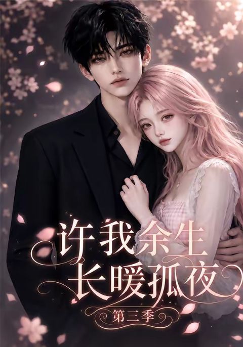 许我余生长暖孤夜第三季海报