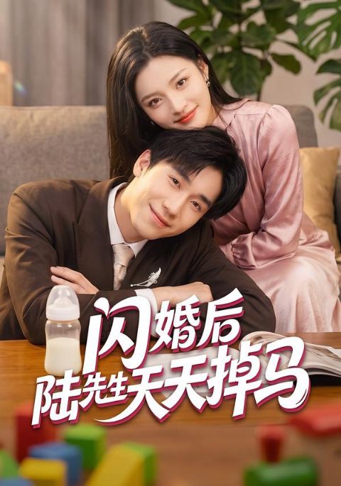 闪婚后陆先生天天掉马海报