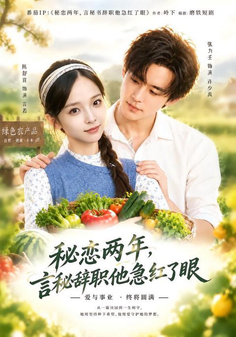 秘恋两年,言秘辞职他急红了眼海报