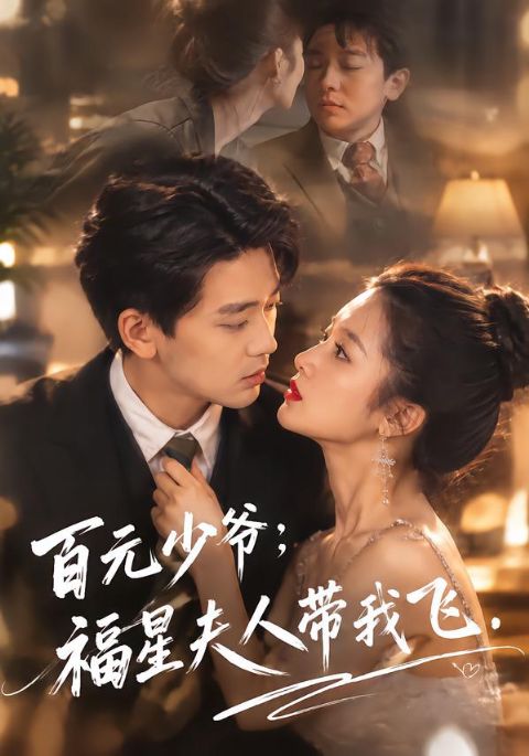 百元少爷:福星夫人带我飞海报