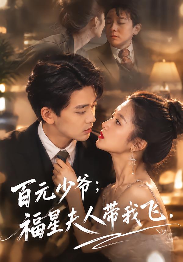 百元少爷:福星夫人带我飞海报
