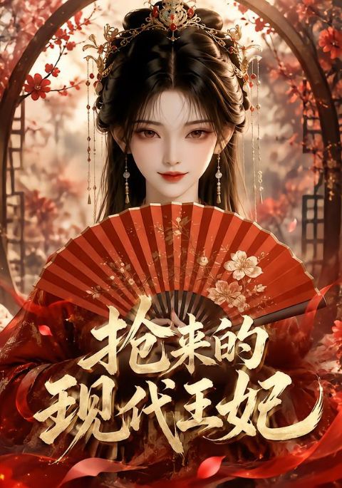 抢来的现代王妃海报