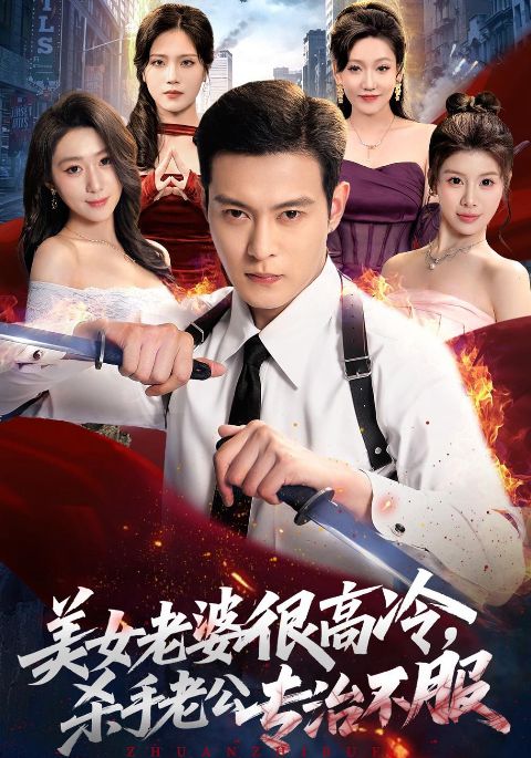 美女老婆很高冷，杀手老公专治不服海报