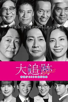 大追踪〜警视厅SSBC强行犯系〜 第2季海报