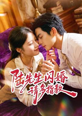 陆先生闪婚请多指教海报
