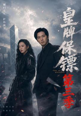 皇牌保镖第3季海报
