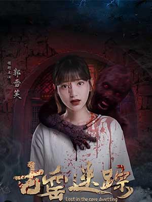 古窑迷踪海报