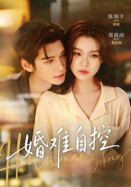 婚难自控海报