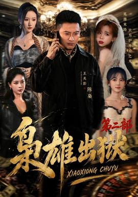 枭雄出狱第2部海报