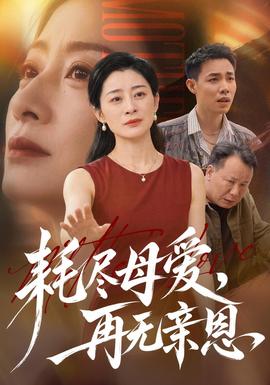 耗尽母爱，再无亲恩海报
