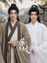 绝代风华苏东坡海报