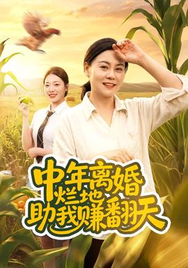 中年离婚，烂地助我赚翻天海报