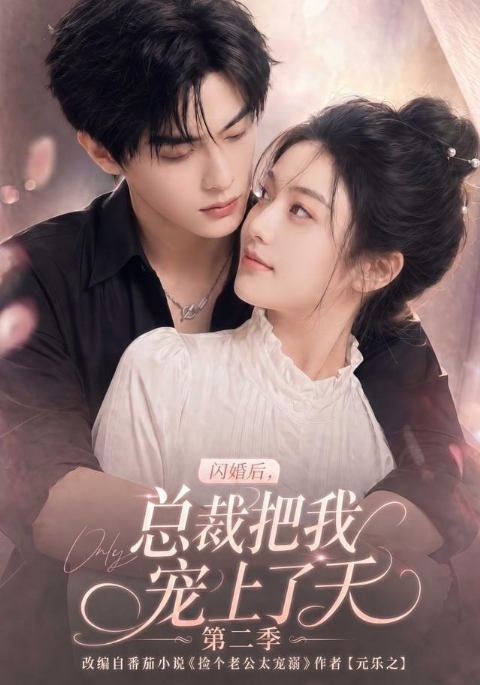 闪婚后，总裁把我宠上了天第二季海报