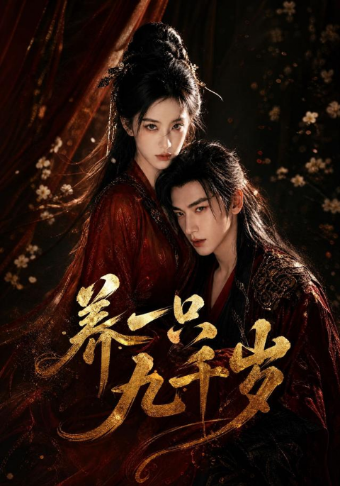 养一只九千岁海报