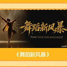 舞蹈新风暴（加更版）海报