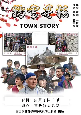 踏雪寻梅[电影解说]海报