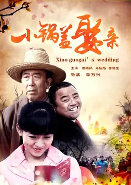 小锅盖娶亲[电影解说]海报