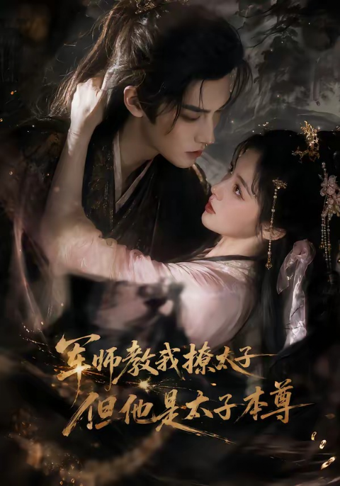 军师教我撩太子但他是太子本尊海报