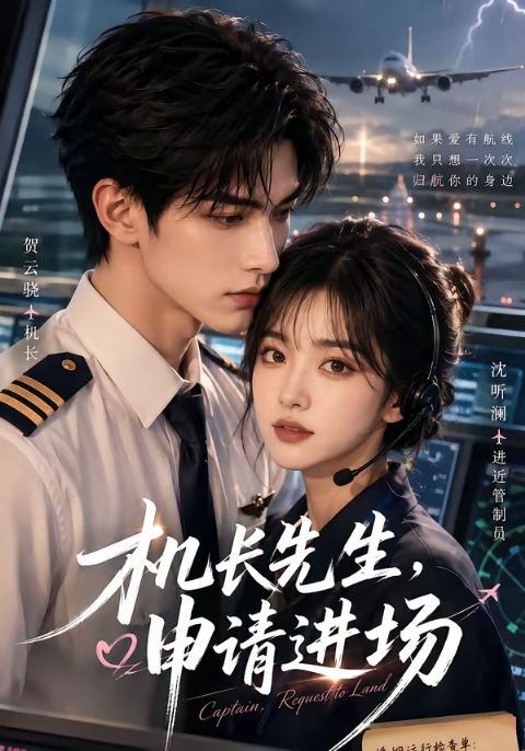 机长先生，申请进场海报