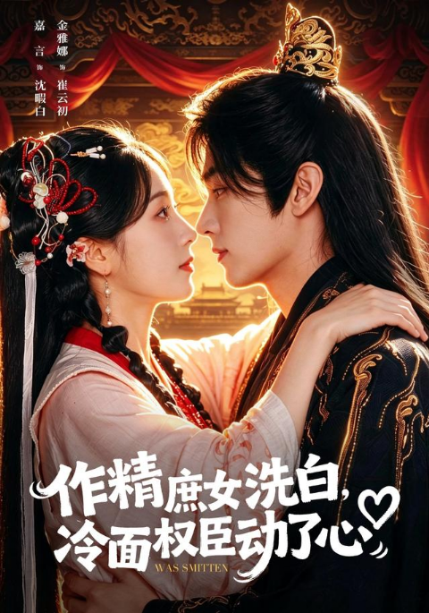 作精庶女洗白，冷面权臣动了心海报