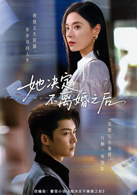 她决定不离婚之后海报