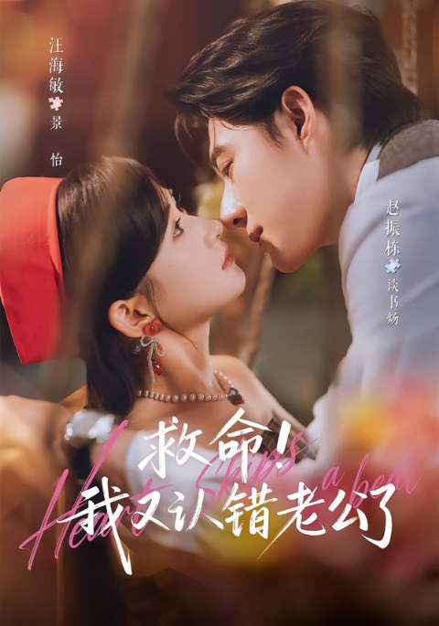 救命!我又认错老公了海报