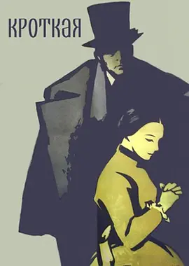 温顺的女人[电影解说]海报