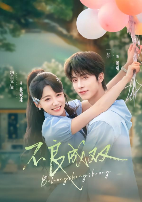 不良成双海报