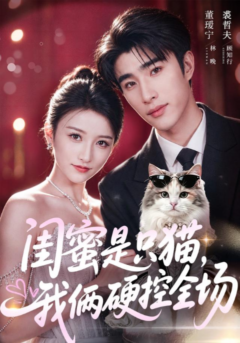 闺蜜是只猫，我俩硬控全场海报
