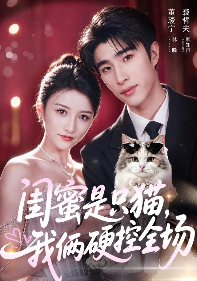 闺蜜是只猫，我俩硬控全场海报