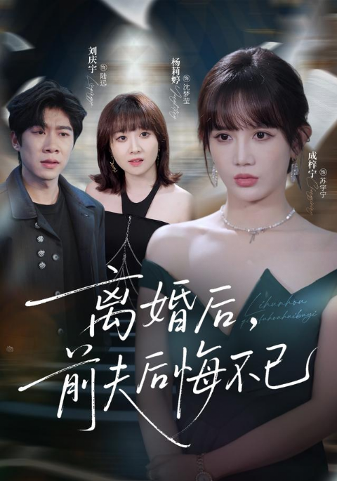离婚后前夫后悔不已海报