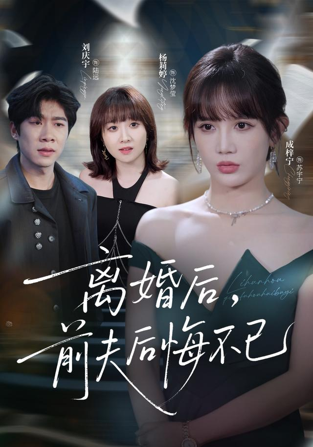 离婚后前夫后悔不已海报