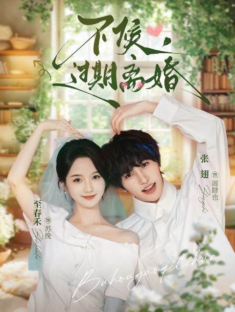 不候，过期离婚海报